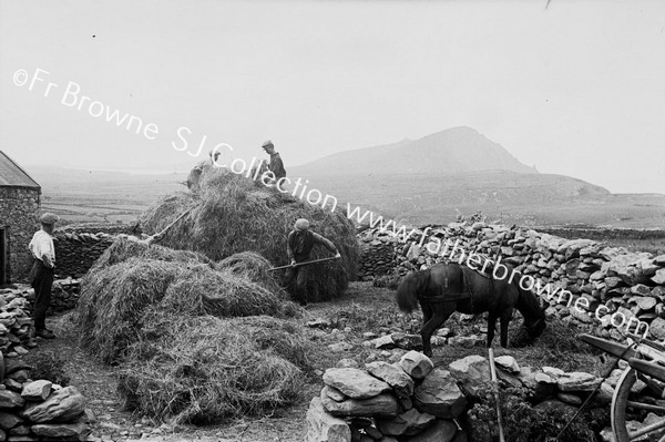 HARVESTING